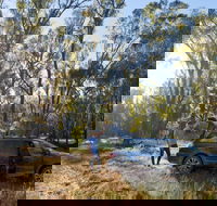 Forest Drive Murrumbidgee Valley National Park - Tourism Noosa