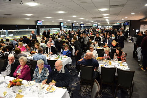 Geelong Greyhound Racing Club - The Beckley Centre - Tourism Noosa 1