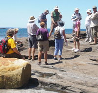 Gondwana Coast Fossil Walk - Tourism Noosa