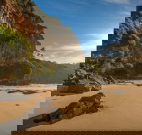 Greenglade picnic area - Tourism Noosa