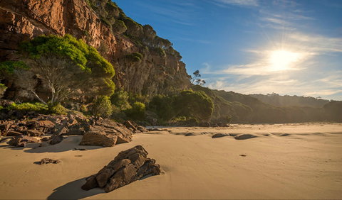Greenglade Picnic Area - Tourism Noosa 0