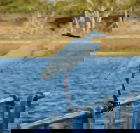 Groper Creek - Tourism Noosa