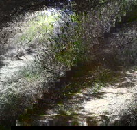 Jack And Hilda McArthur Walk - Tourism Noosa