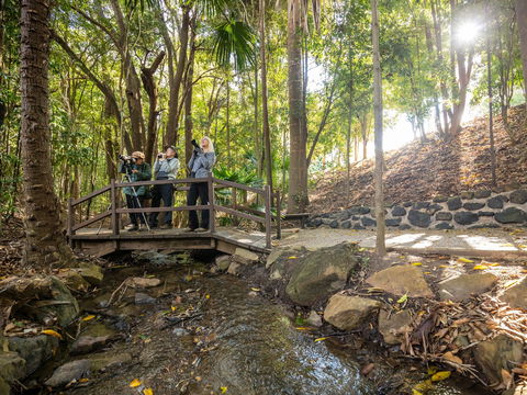 Kholo Gardens Trails - Tourism Noosa 1