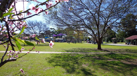 Koshigaya Park - Tourism Noosa 0