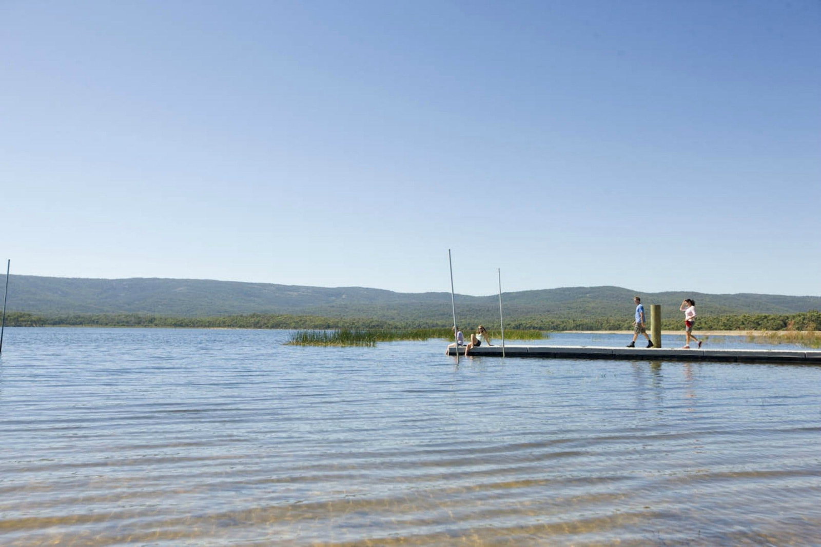 Zumsteins VIC Tourism Noosa