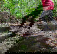 Maiala - Tourism Noosa