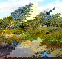 Mansfield Mullum Wetlands - Tourism Noosa