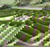 Mintaro Maze - Tourism Noosa