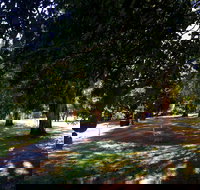 Mirimbah Park - Tourism Noosa