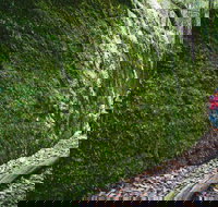 Morisset - Tourism Noosa