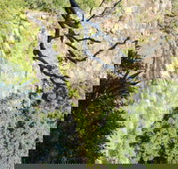 Morans Falls track Lamington National Park - Tourism Noosa