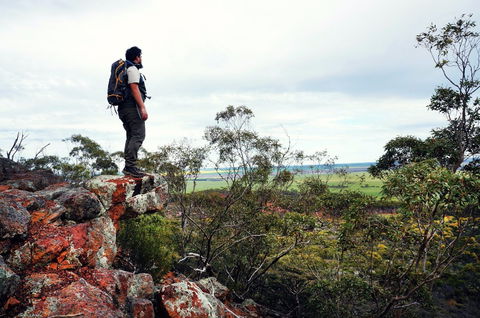 Mount Matilda - Tourism Noosa 0
