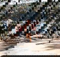 Myponga Reservoir Trail - Tourism Noosa