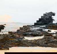 Mystery Bay Short Walk - Tourism Noosa