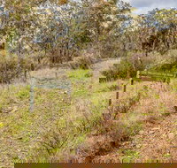 Old Mountain Road Walking Track - Tourism Noosa