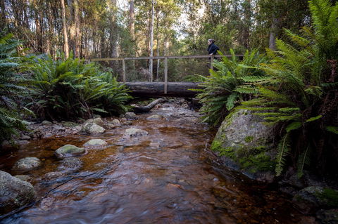 O'Neills Creek Picnic Reserve - Tourism Noosa 0