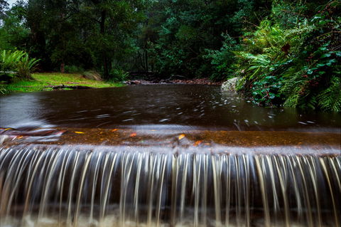O'Neills Creek Picnic Reserve - Tourism Noosa 1