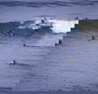 Point Addis Marine National Park - Tourism Noosa