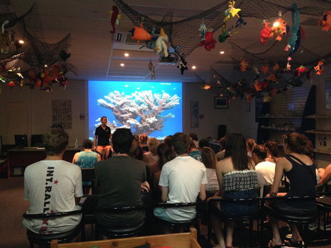 Reef Teach - Tourism Noosa 1