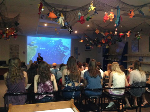 Reef Teach - Tourism Noosa 2