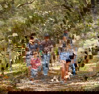 Russell Island Canaipa - Tourism Noosa
