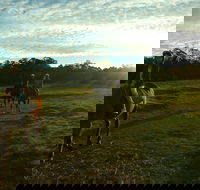 Scenic NSW Horse Riding Centre - Tourism Noosa