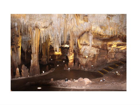Tantanoola Caves - Tourism Noosa 1