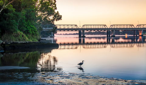 The Grotto Walk - North Nowra - Tourism Noosa 1