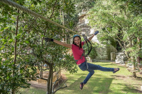 The Grotto Walk - North Nowra - Tourism Noosa 2