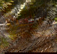 The West Coast Wilderness Way - Tourism Noosa