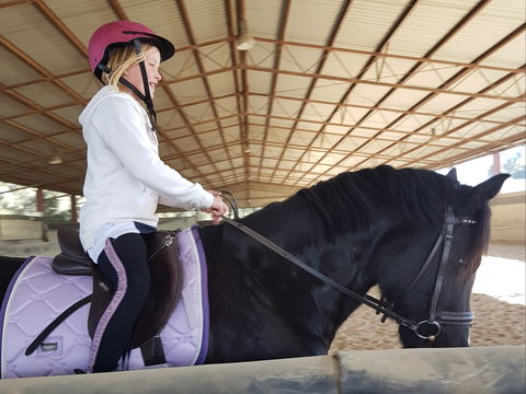 The Equine Club - Tourism Noosa 1