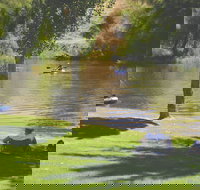 The Lions Junction Park - Tumut