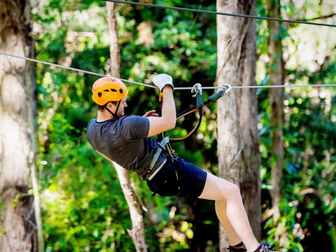 TreeTop Challenge Currumbin Wildlife Sanctuary - Tourism Noosa 0