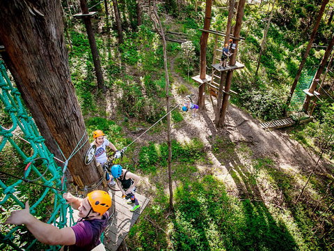 TreeTop Challenge Currumbin Wildlife Sanctuary - Tourism Noosa 2
