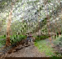 Venman Bushland National Park - Tourism Noosa