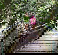 Wonga Walk - Tourism Noosa