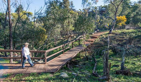 Falcon Falls Walking Track - Tourism Noosa 0