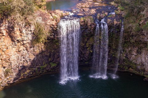 Rainforest & Waterfall Experience - Tourism Noosa 1
