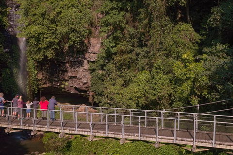 Rainforest & Waterfall Experience - Tourism Noosa 4