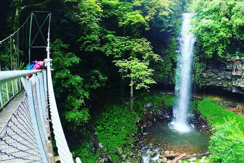 Rainforest & Waterfall Experience - Tourism Noosa 0