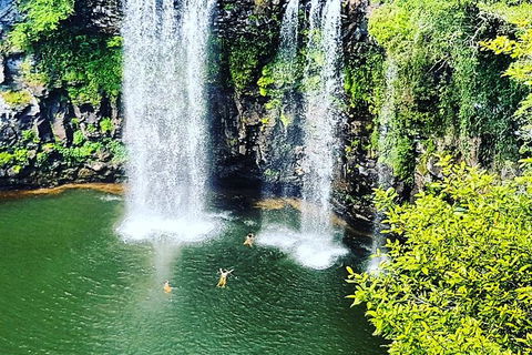 Rainforest & Waterfall Experience - Tourism Noosa 2