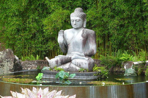 Crystal Castle Shuttle From Byron Bay (full Day) - Tourism Noosa 0