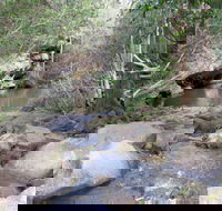 Bomaderry Creek Regional Park - Tourism Noosa