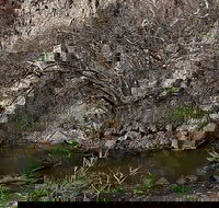 Brisbane Ranges National Park - Tourism Noosa