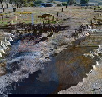 Wangaraleednie Monument  Ruins - Tourism Noosa