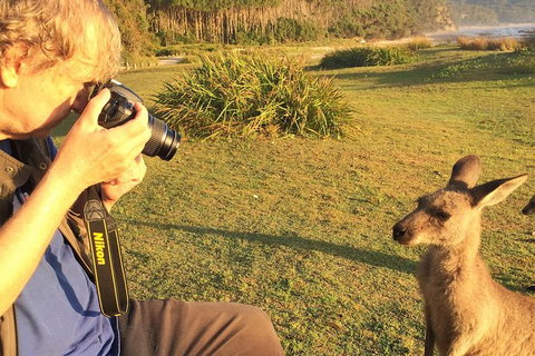 Highlights Of The Eurobodalla (half Day Private Tour) - Tourism Noosa 2