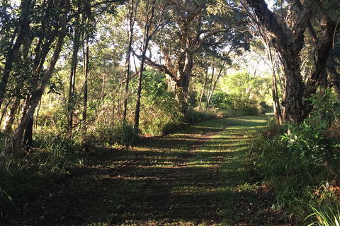 Coffs Harbour To Sawtell Bike Ride - Tourism Noosa 7