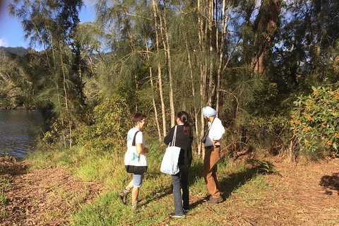 Fishermans Paradise Eco-walk - Tourism Noosa 1