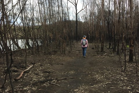 Fishermans Paradise Eco-walk - Tourism Noosa 5